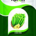 REMIK AGRI SEEDS PVT LTD