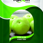 tinda seeds