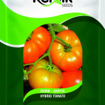 tomato seeds