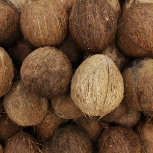 Semi Husk Coconut