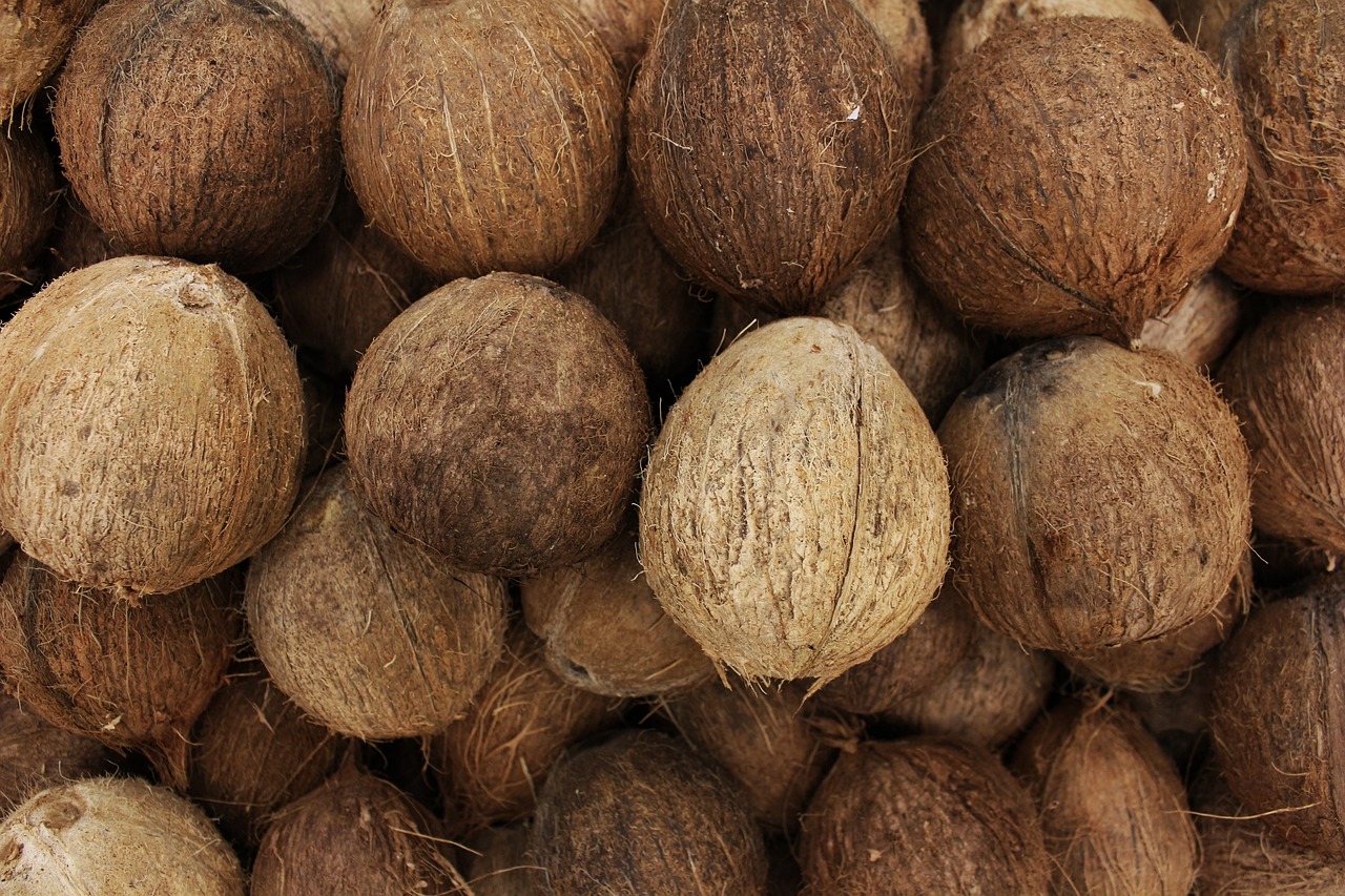 Semi Husk Coconut