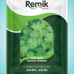 CORIANDER SEEDS