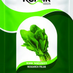 SPINACH SEEDS
