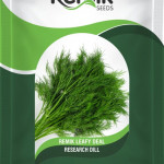 dill seeds
