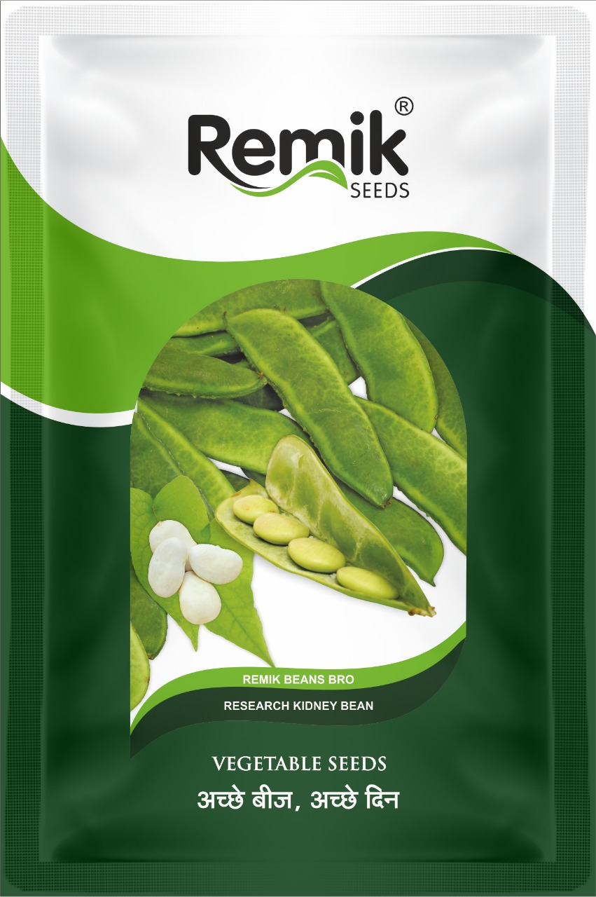 KIDNY BEANS SEEDS REMIK BEANS BRO