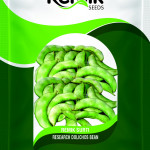 beans seeds