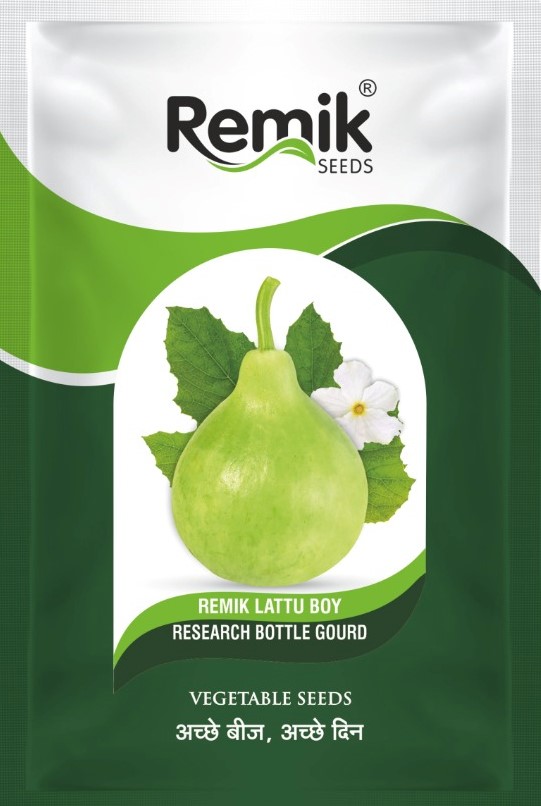 REMIK AGRI SEEDS PVT LTD