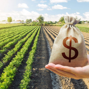Agriculture Loan