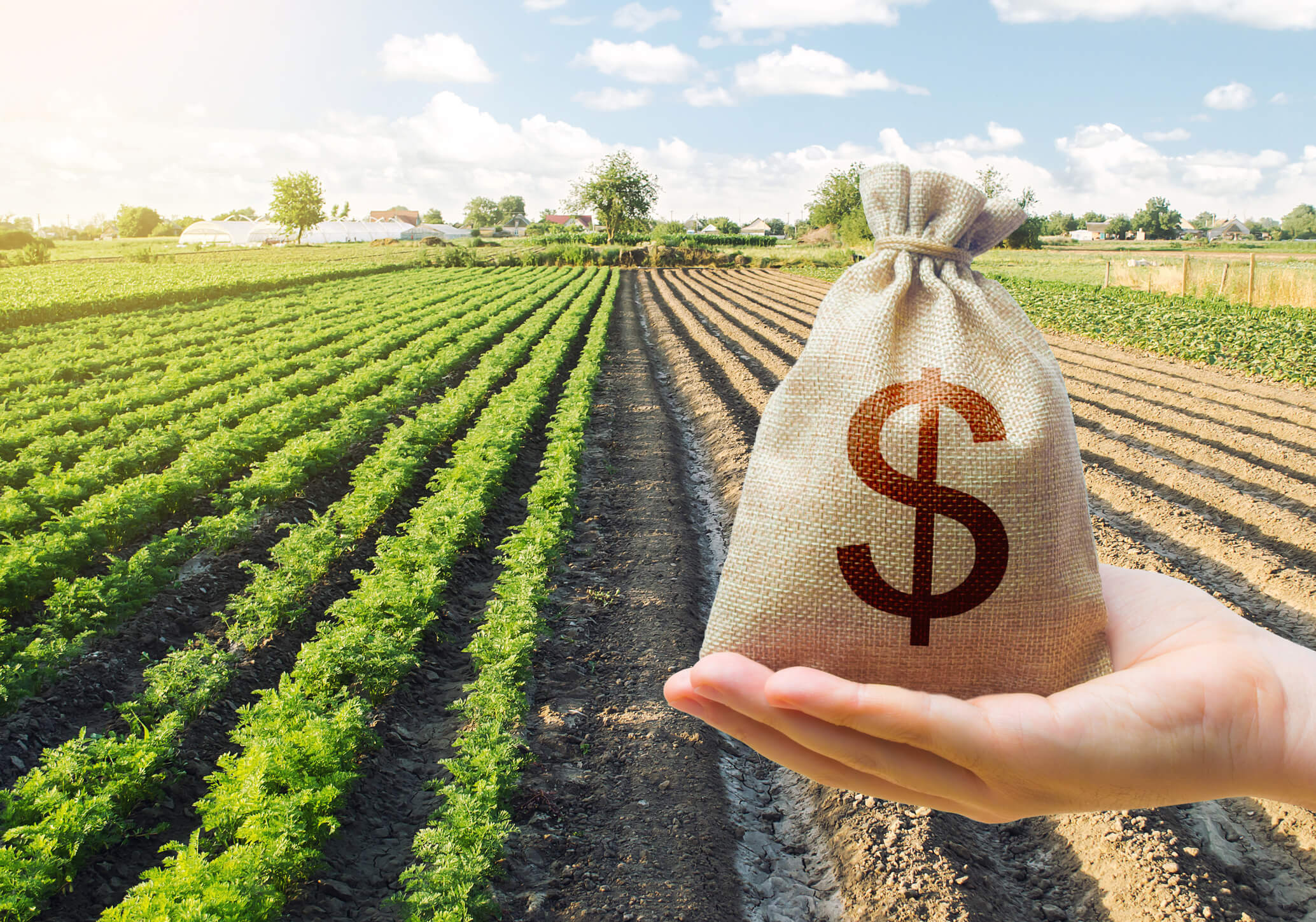 Agriculture Loan