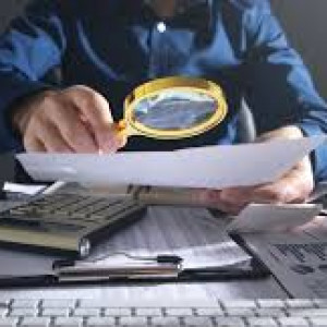 Statutory Audit