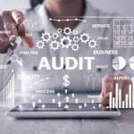 Statutory Audit