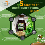 Coriander Honey / Kothmir Honey