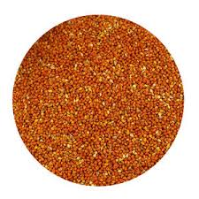 SeedMax Premium Seeds