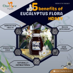 Eucalyptus Honey / Nilgiri Honey