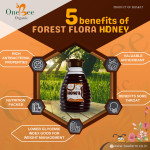 Apis Dorsata Forest Honey
