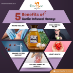 Garlic Honey