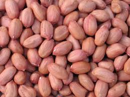 GROUNDNUT SEEDS