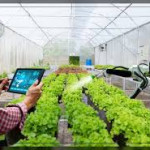 EcoAgri Solutions