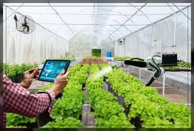 EcoAgri Solutions