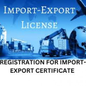 Import & Export License