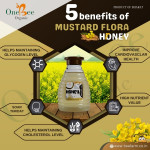 Mustard Honey / White Cream Honey