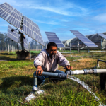 solar panels