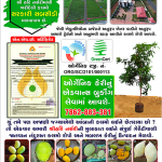 organic farming