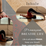 Yoga & fitness