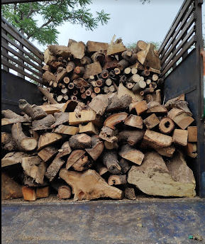 Timber wood