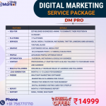 digital market india