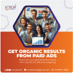 Graphic Designing , Web Development , Digital Marketing