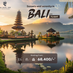 Travel Agents