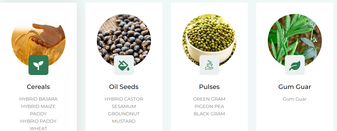 Agriculture ( seeds)