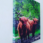 Canvas Printing