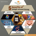 Shilajit Honey
