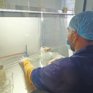 Water Testing