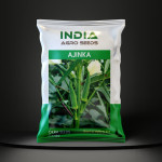 AGRICULTURE SEEDS