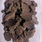 Castor oil cake