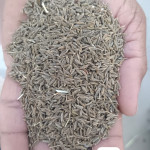 agriculture product's