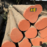 wood supplies