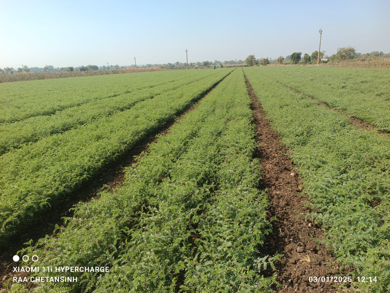 Agriculture products
