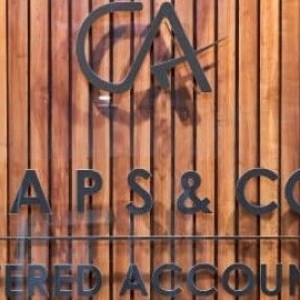 charted accountants