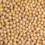Agri food supply