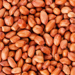 Agri food supply