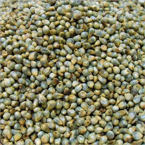 Millet