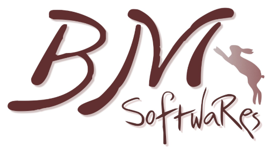 software developers