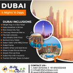 Tours & Travels