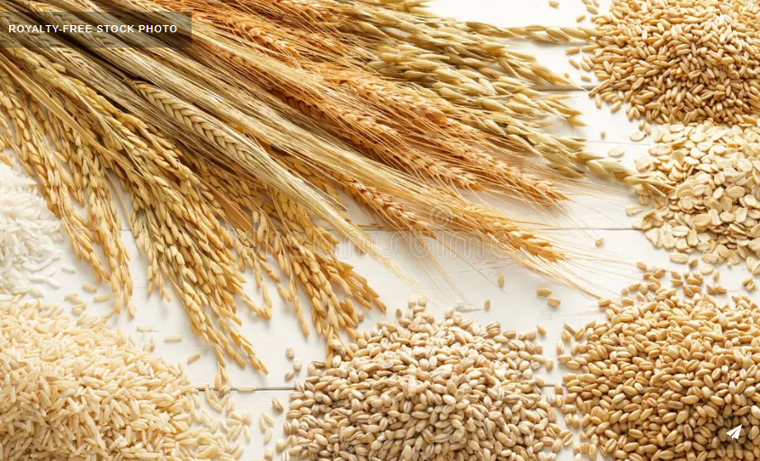 Agriculture products