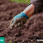 Agro Fertilizer