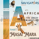 Travel company